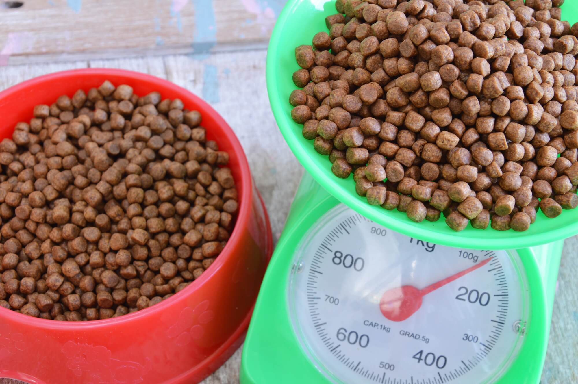 オリジンドックフードの給餌量